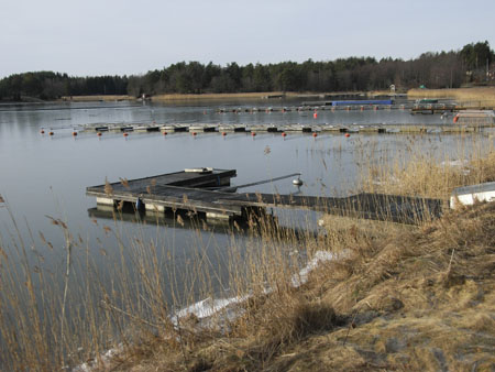Bryggor i Finnkrokens marina